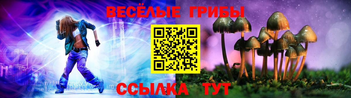 Гусиноозёрск  Галлюциногенные грибы Cubensis  Вход с VPN 